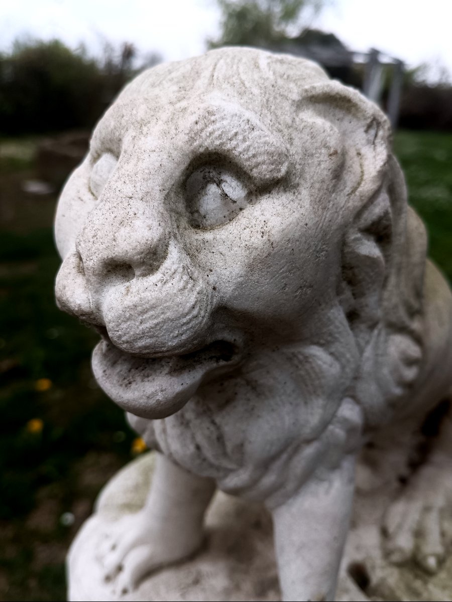 18th Century-photo-3