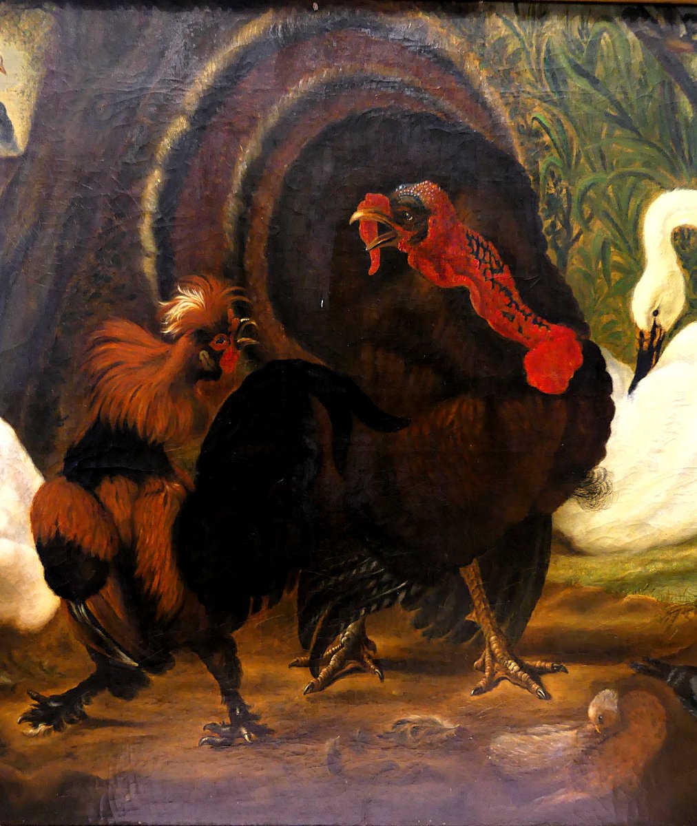 Dispute Between Turkey And Rooster "" By Abraham Busschop"""-photo-3