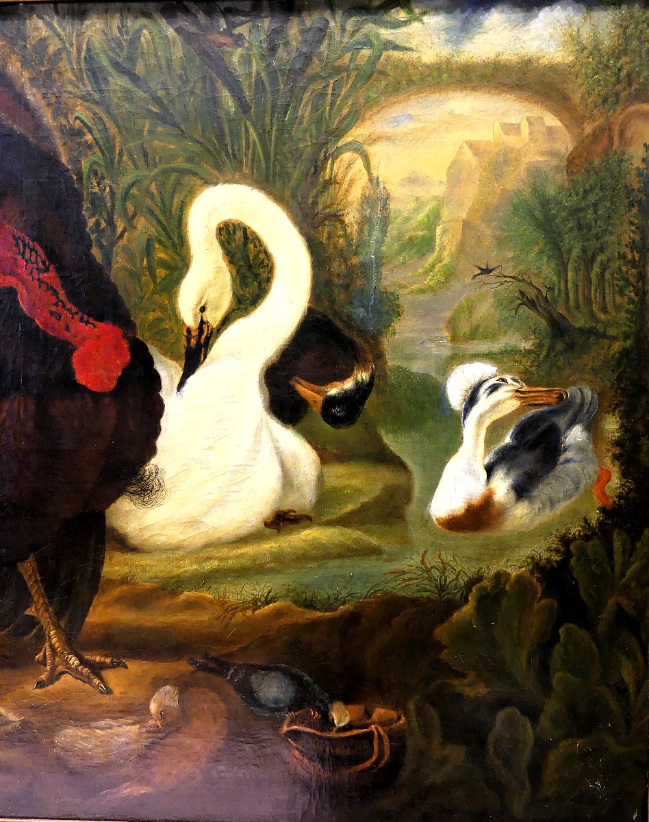 Dispute Between Turkey And Rooster "" By Abraham Busschop"""-photo-4