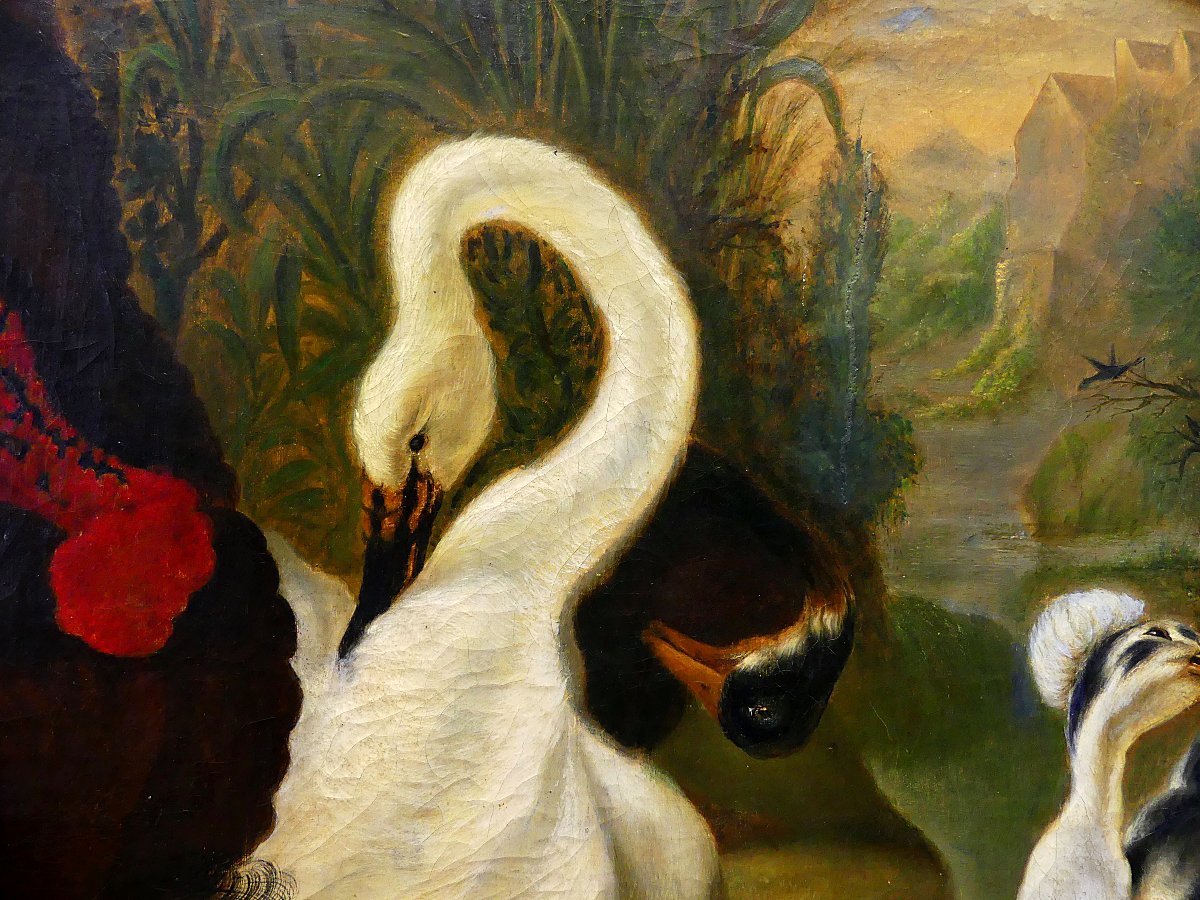 Dispute Between Turkey And Rooster "" By Abraham Busschop"""-photo-2