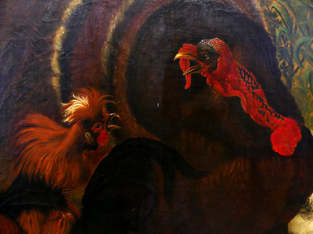 Dispute Between Turkey And Rooster "" By Abraham Busschop"""-photo-3