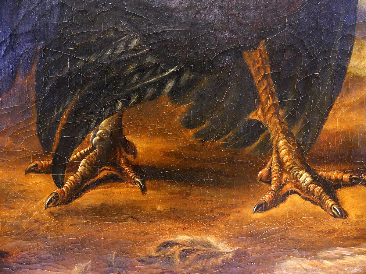 Dispute Between Turkey And Rooster "" By Abraham Busschop"""-photo-4