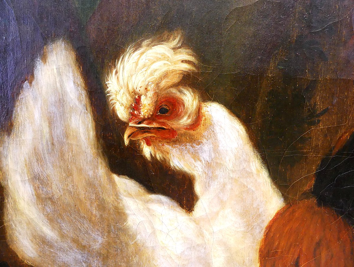 Dispute Between Turkey And Rooster "" By Abraham Busschop"""-photo-7