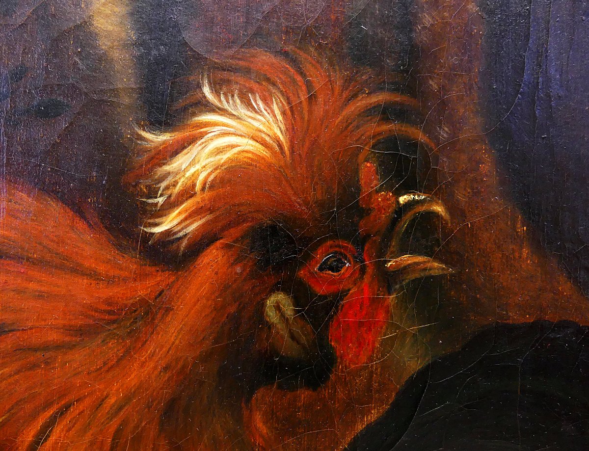 Dispute Between Turkey And Rooster "" By Abraham Busschop"""-photo-8