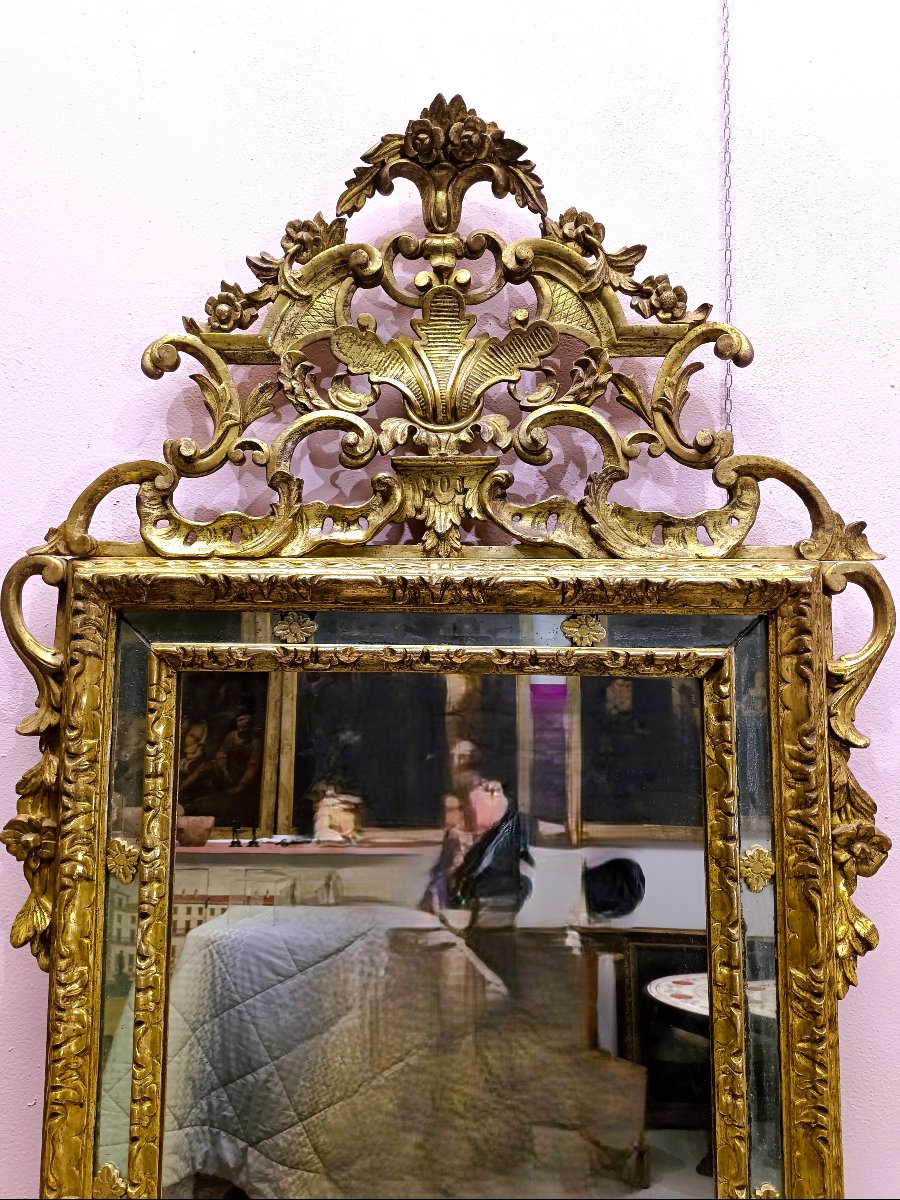 Piedmont In The 18th Century-photo-2