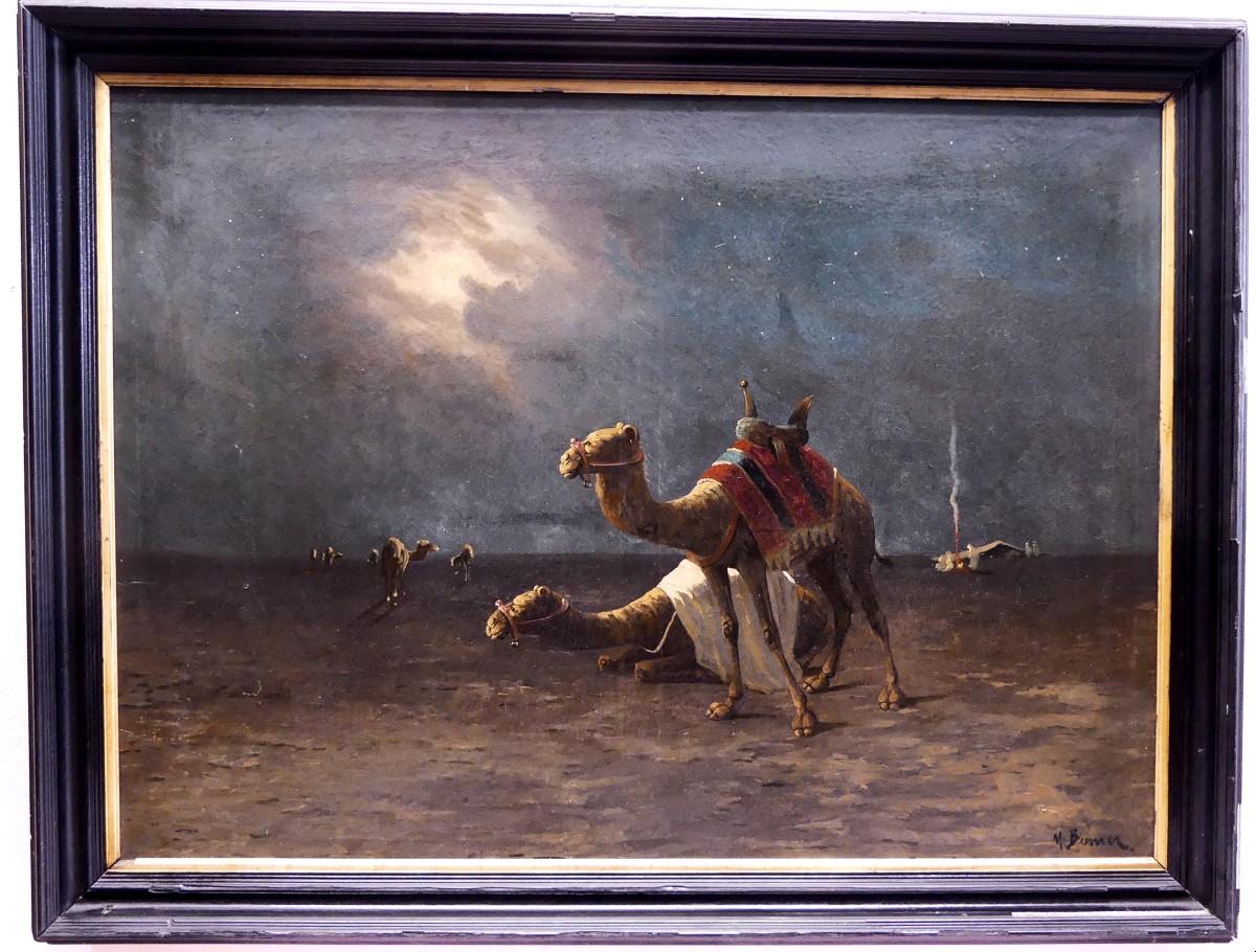 M. BOUVIER « UNE NUIT DANS LE DÉSERT »