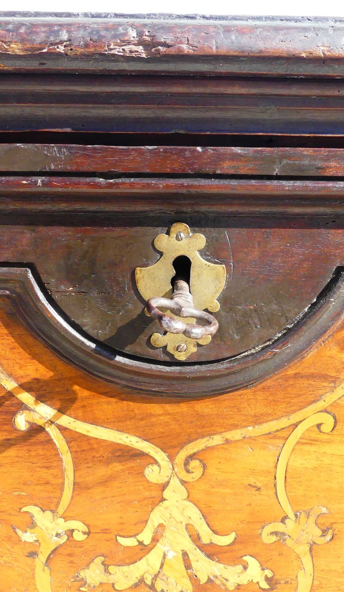 C.V.F 1725 Coffre aristocratique-photo-4