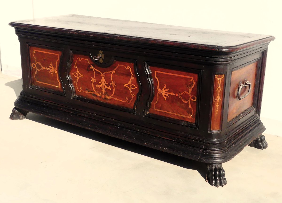 C.V.F 1725 Coffre aristocratique