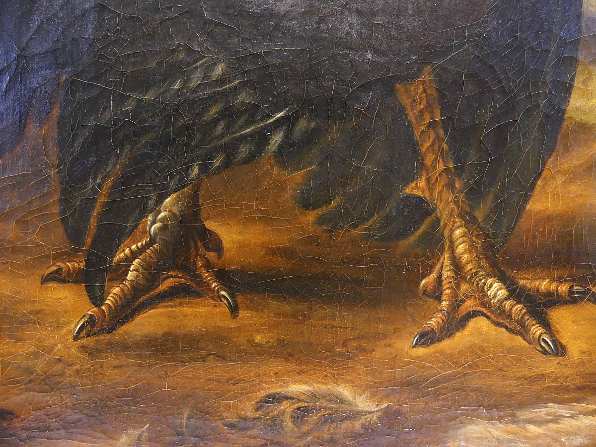 "the Dispute Between The Turkey And The Rooster" By Abraham Busschop-photo-3