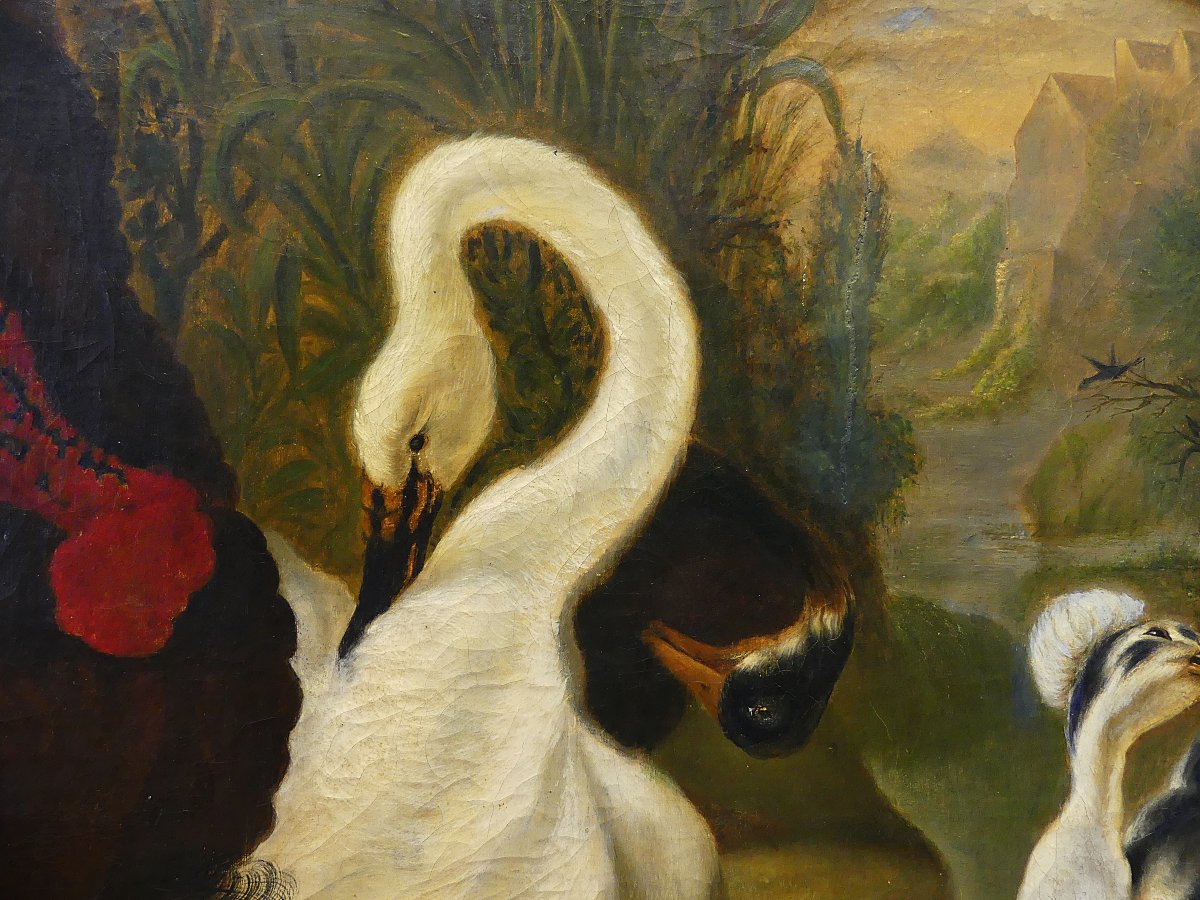 "the Dispute Between The Turkey And The Rooster" By Abraham Busschop-photo-5