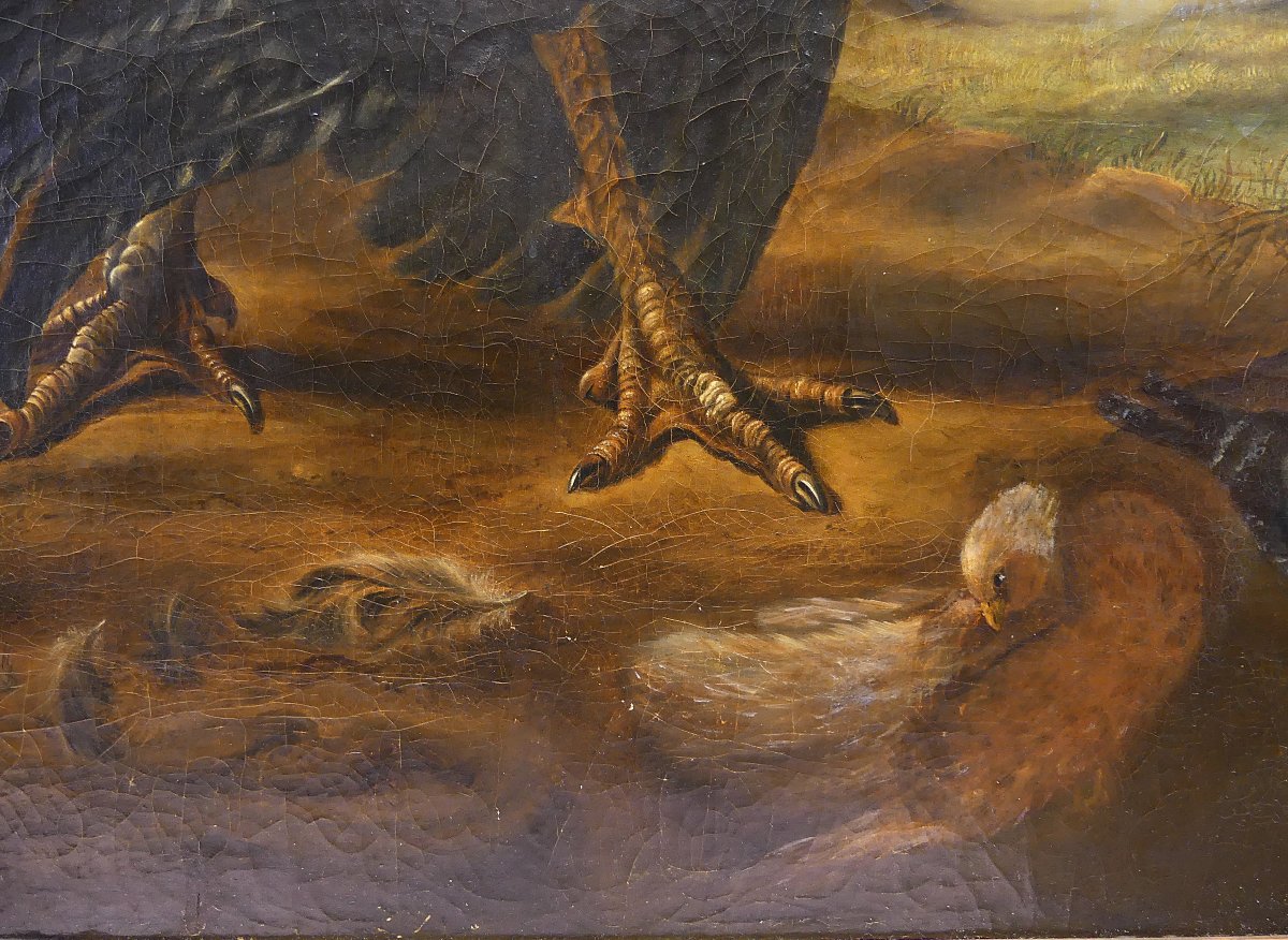 "the Dispute Between The Turkey And The Rooster" By Abraham Busschop-photo-8