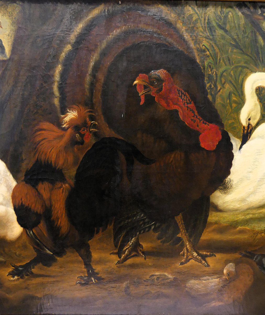 "the Dispute Between The Turkey And The Rooster" By Abraham Busschop