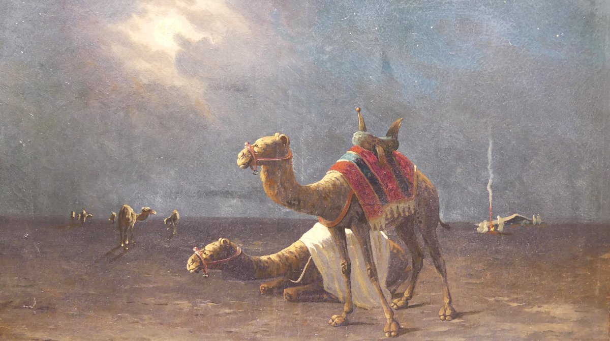 M. Bouvier « Nuit dans le désert »-photo-2