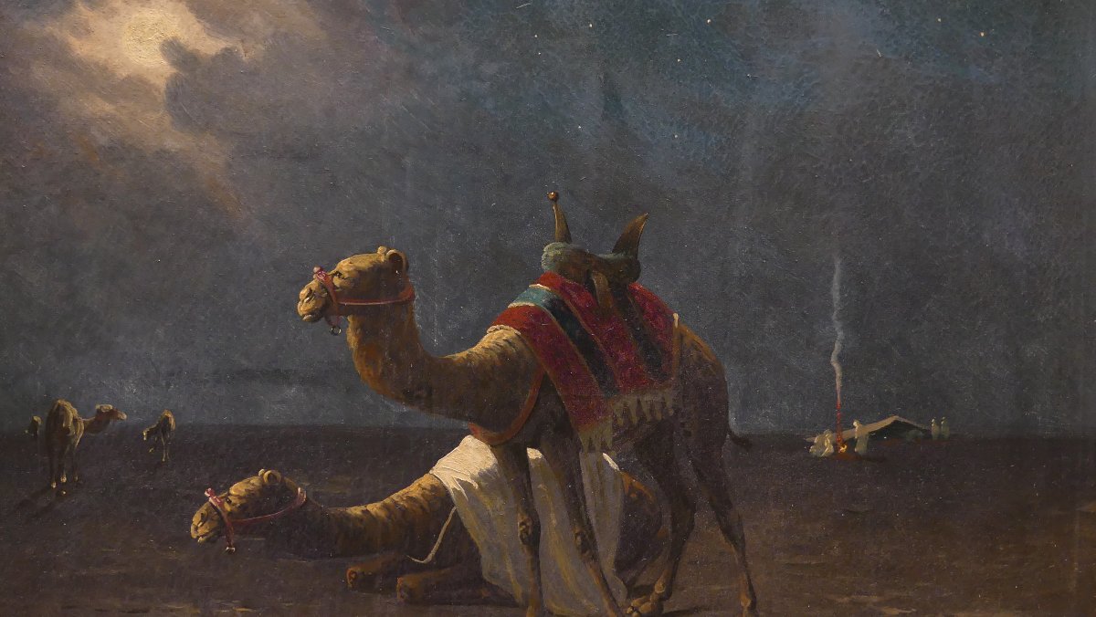 M. Bouvier « Nuit dans le désert »-photo-6