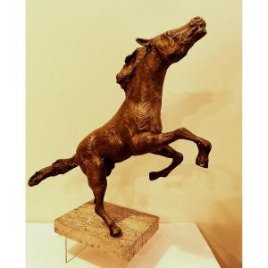 TOMMASO GISMONDI LE CHEVAL QUI SE GABARIT