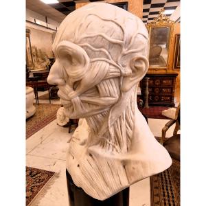 GRANDE ÉCORCHE EN MARBRE DU DÉBUT DU XXE SIÈCLE