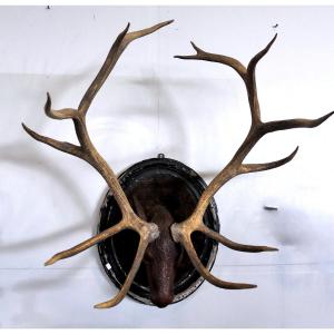 Black Forest 19th Century