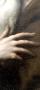 1746236-alb-69e77230b15c4.jpg