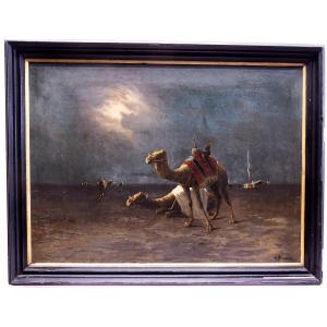 M. BOUVIER « UNE NUIT DANS LE DÉSERT »
