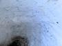 1760139-alb-6a05de7b3c15b.jpg