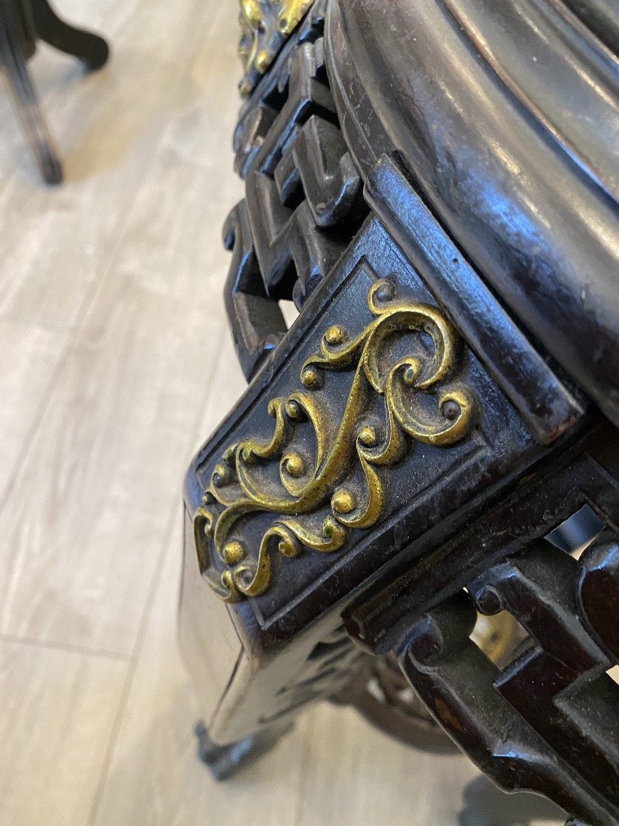 Indochinese Saddle -photo-6