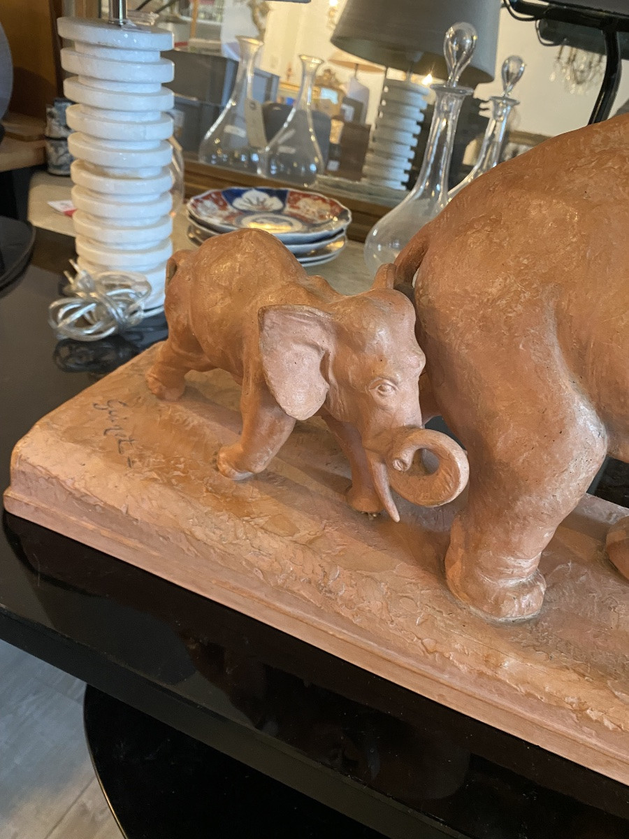 Éléphant et éléphanteau -photo-3