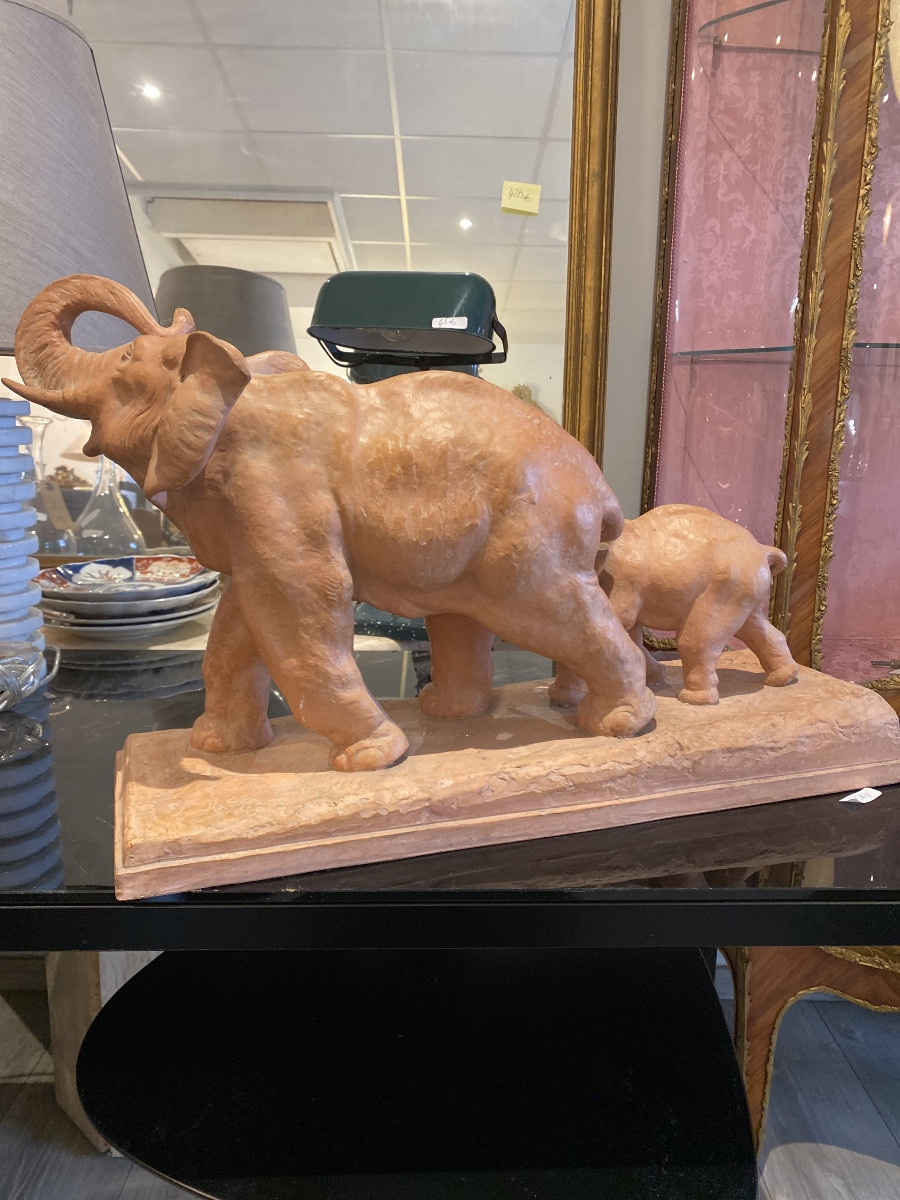 Éléphant et éléphanteau -photo-8