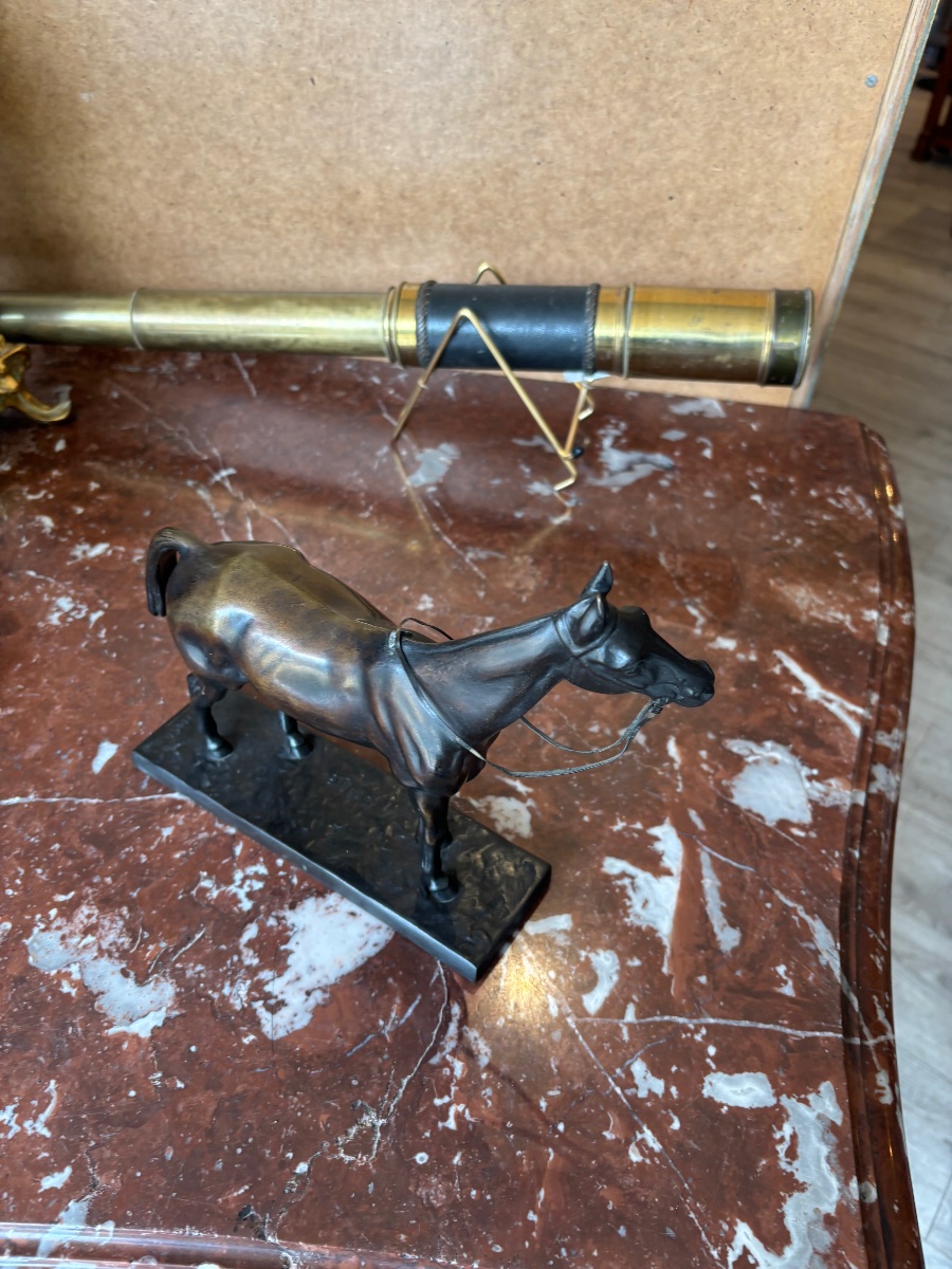 Bronze Horse-photo-3
