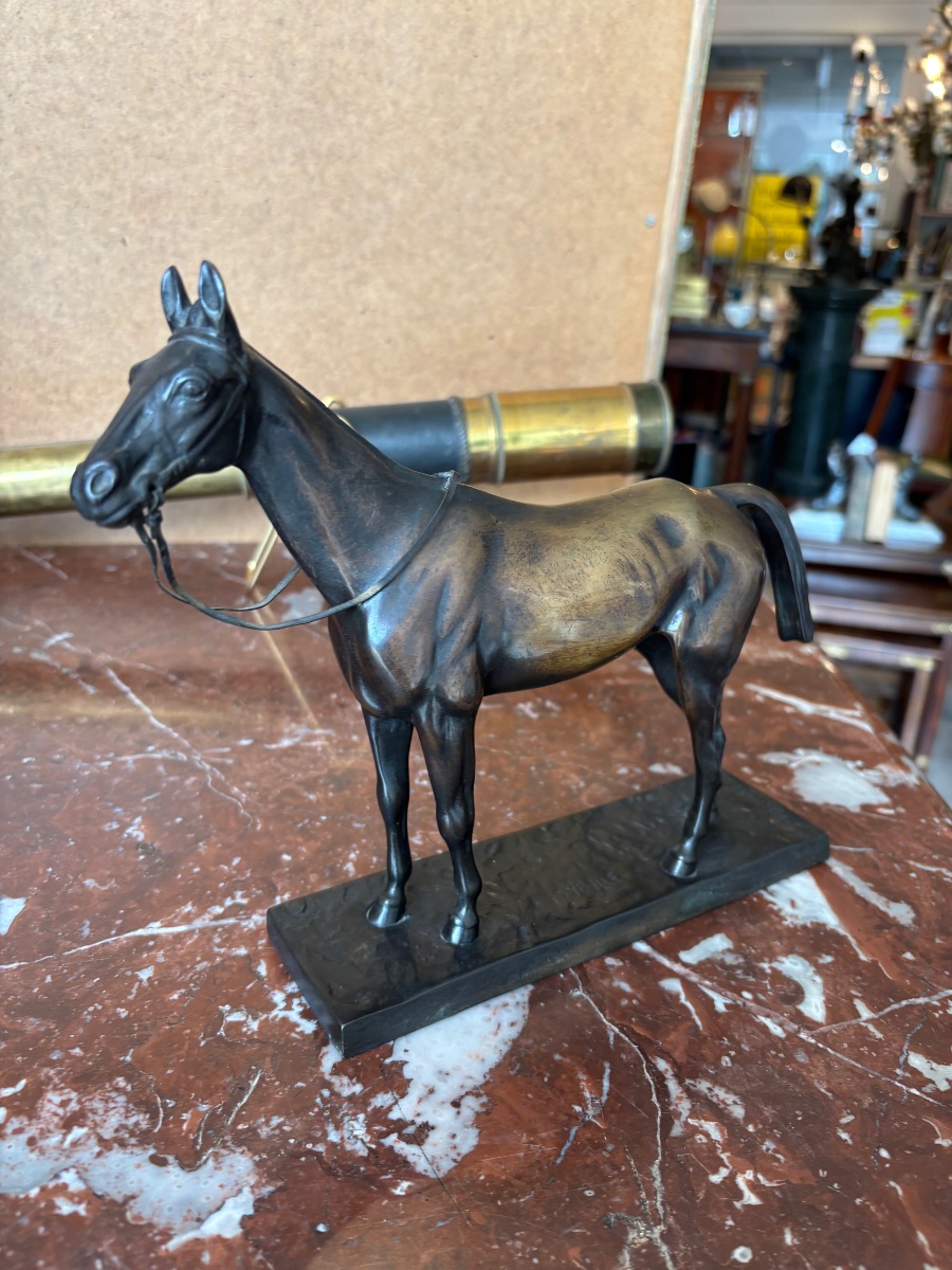 Bronze Horse-photo-4