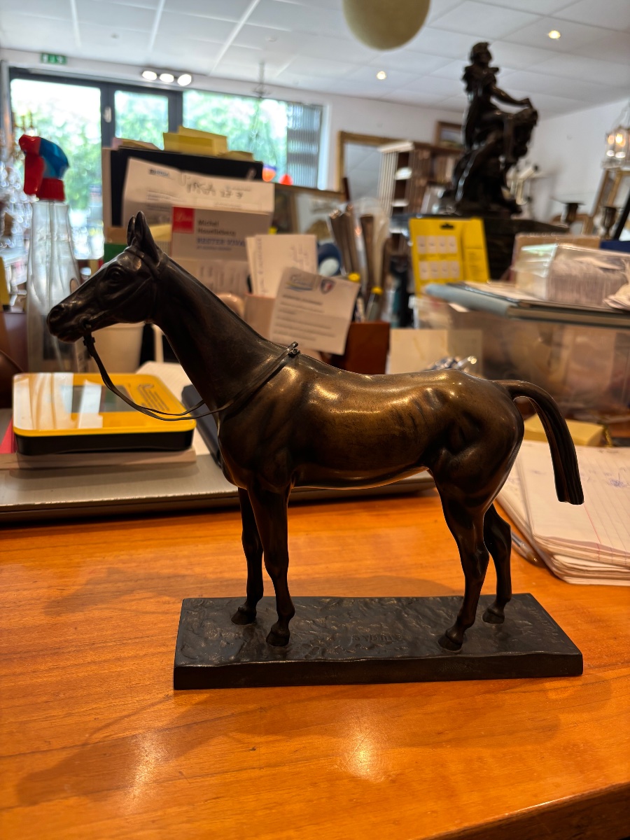 Bronze Horse-photo-5