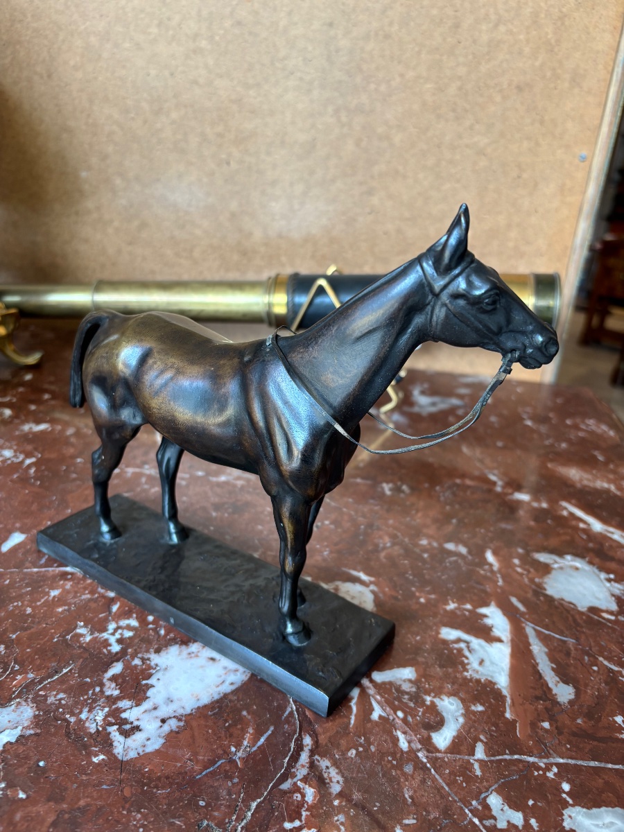 Bronze Horse