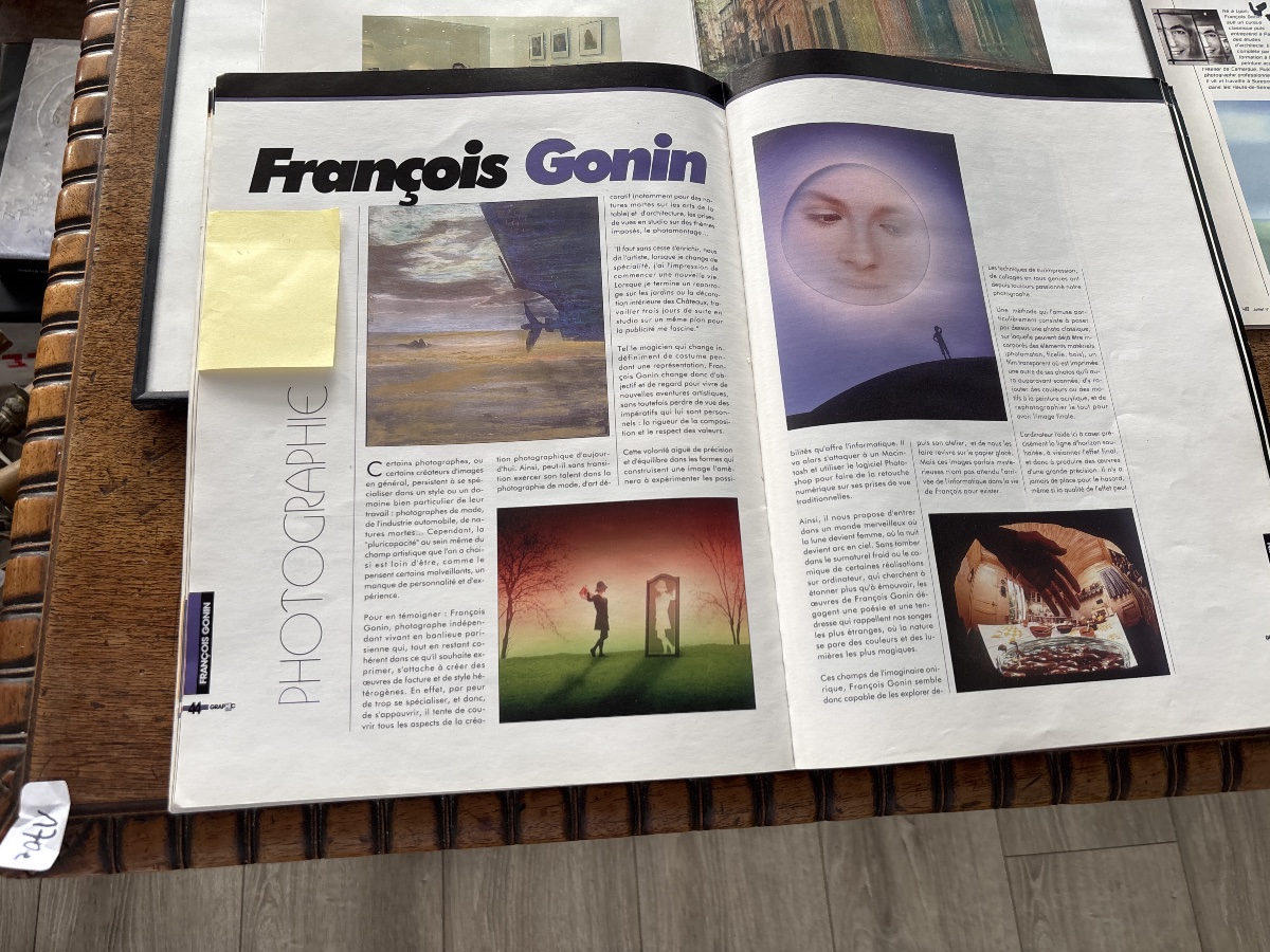 François Gonin / Mixed-media Paintings -photo-6