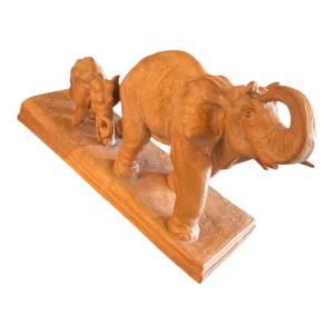 Éléphant et éléphanteau 