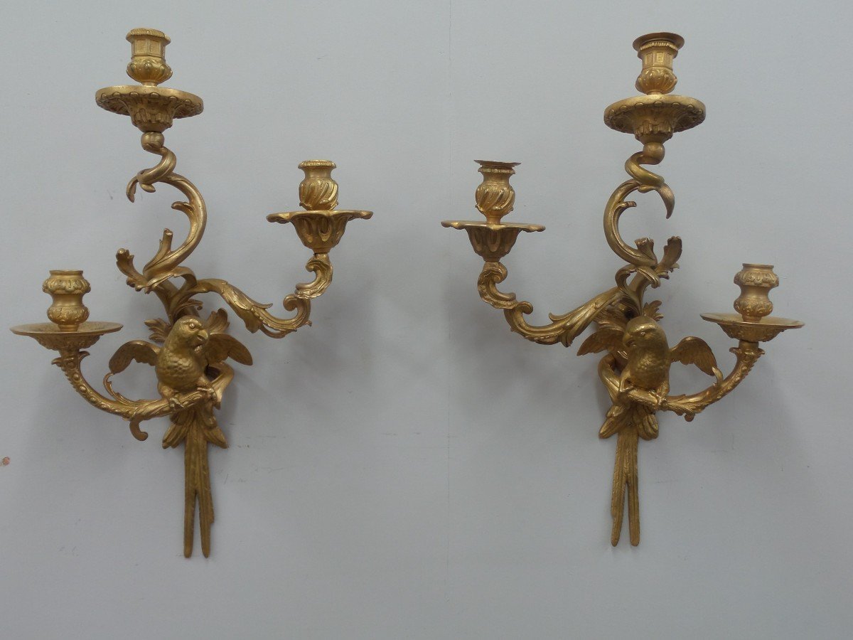 Pair Of Parrot Sconces