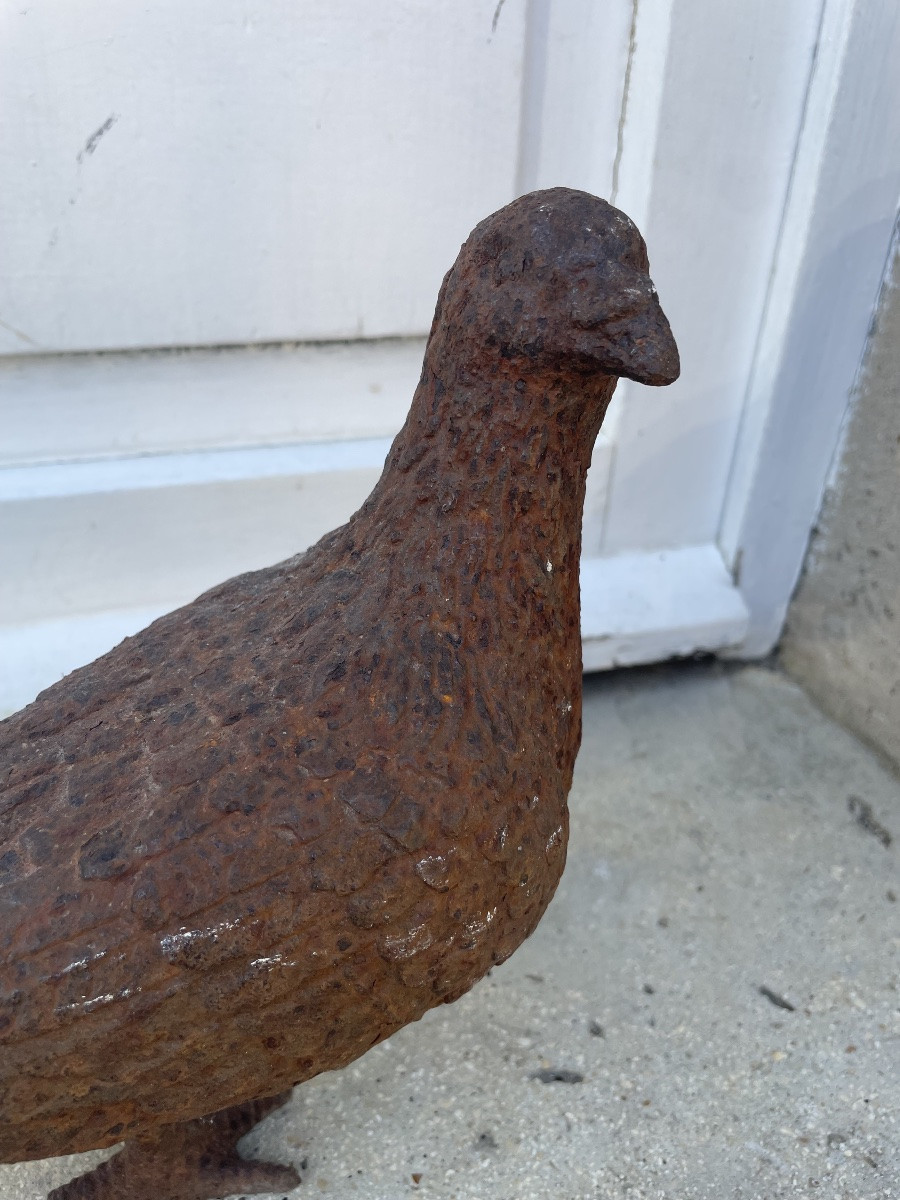 Cast Iron Pigeon -photo-1