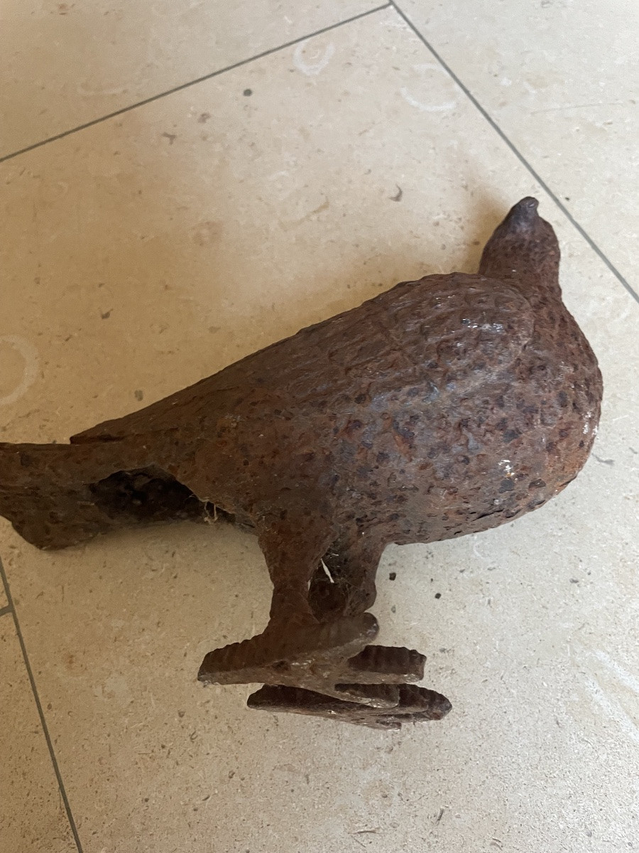 Cast Iron Pigeon -photo-2