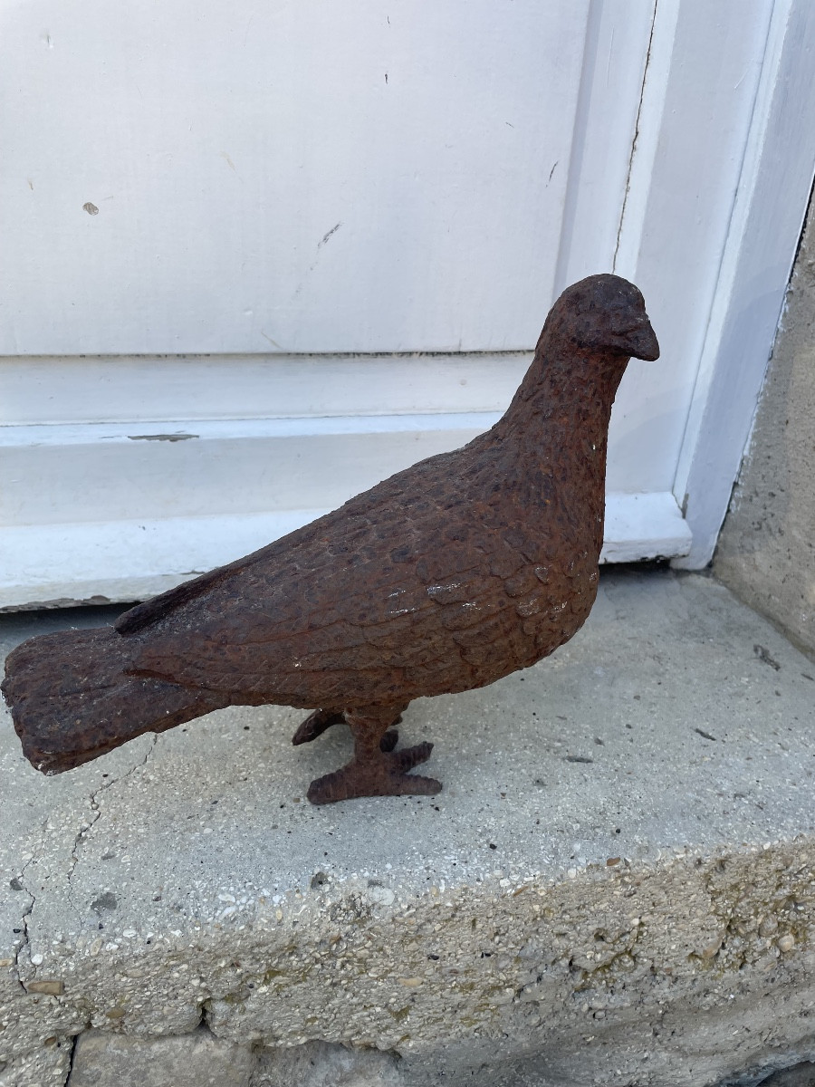 Cast Iron Pigeon 