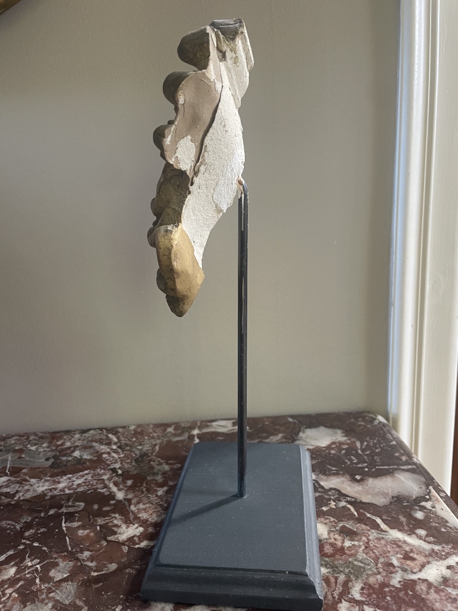 Élément de décoration -photo-2