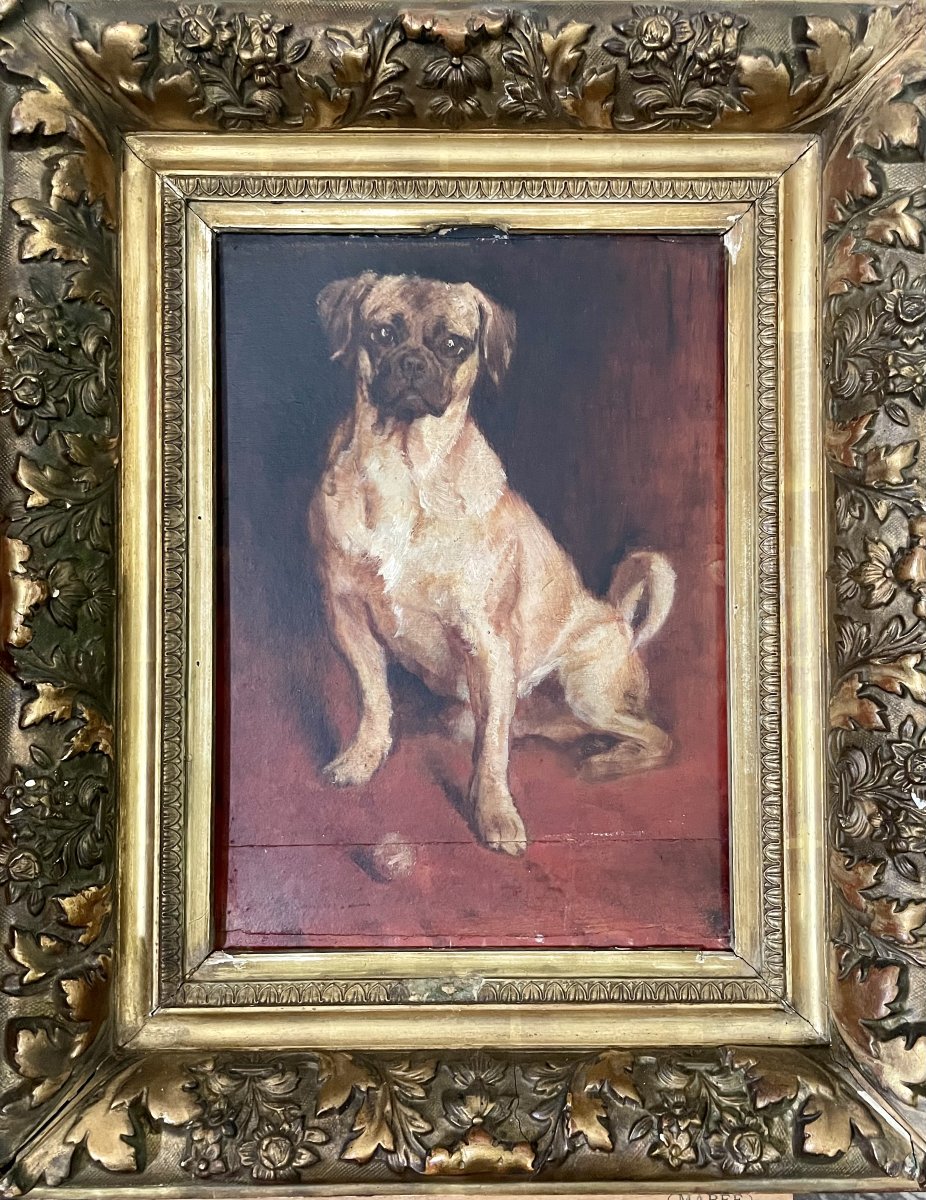 Portrait Of Carlin-photo-2
