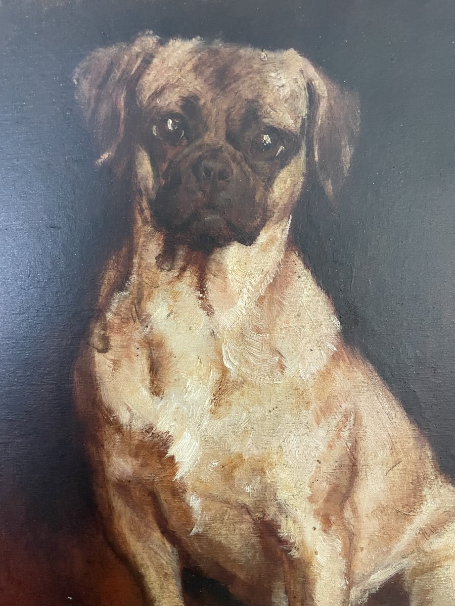 Portrait Of Carlin-photo-3