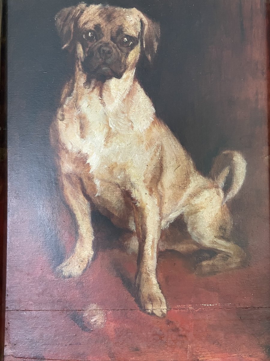 Portrait Of Carlin-photo-4