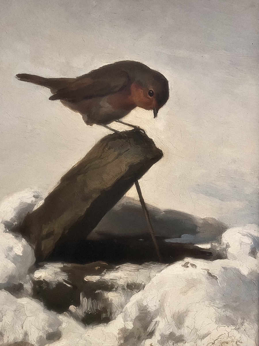 Robin In The Snow-photo-2