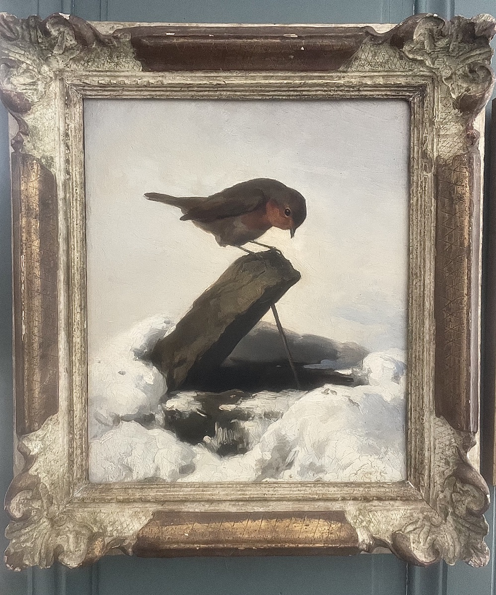 Robin In The Snow
