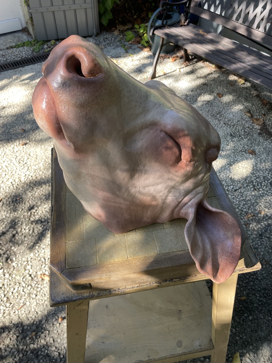 Sculpture en trompe-l’œil – Tête de bovin sur billot –-photo-2