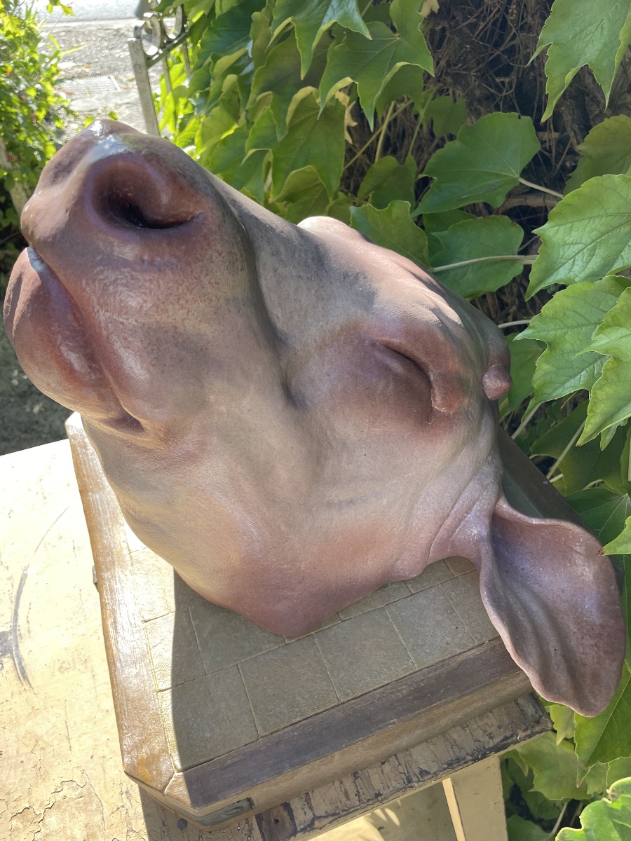 Sculpture en trompe-l’œil – Tête de bovin sur billot –-photo-4