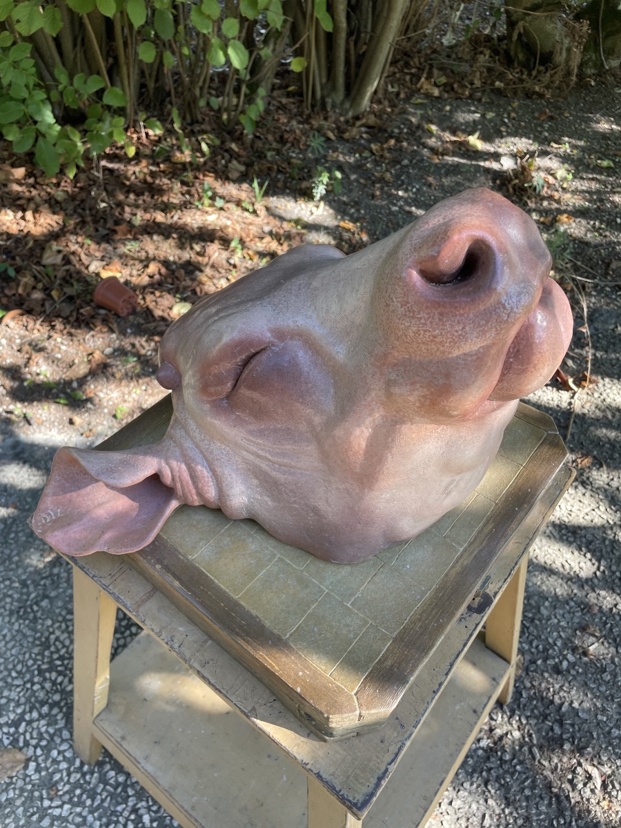 Sculpture en trompe-l’œil – Tête de bovin sur billot –