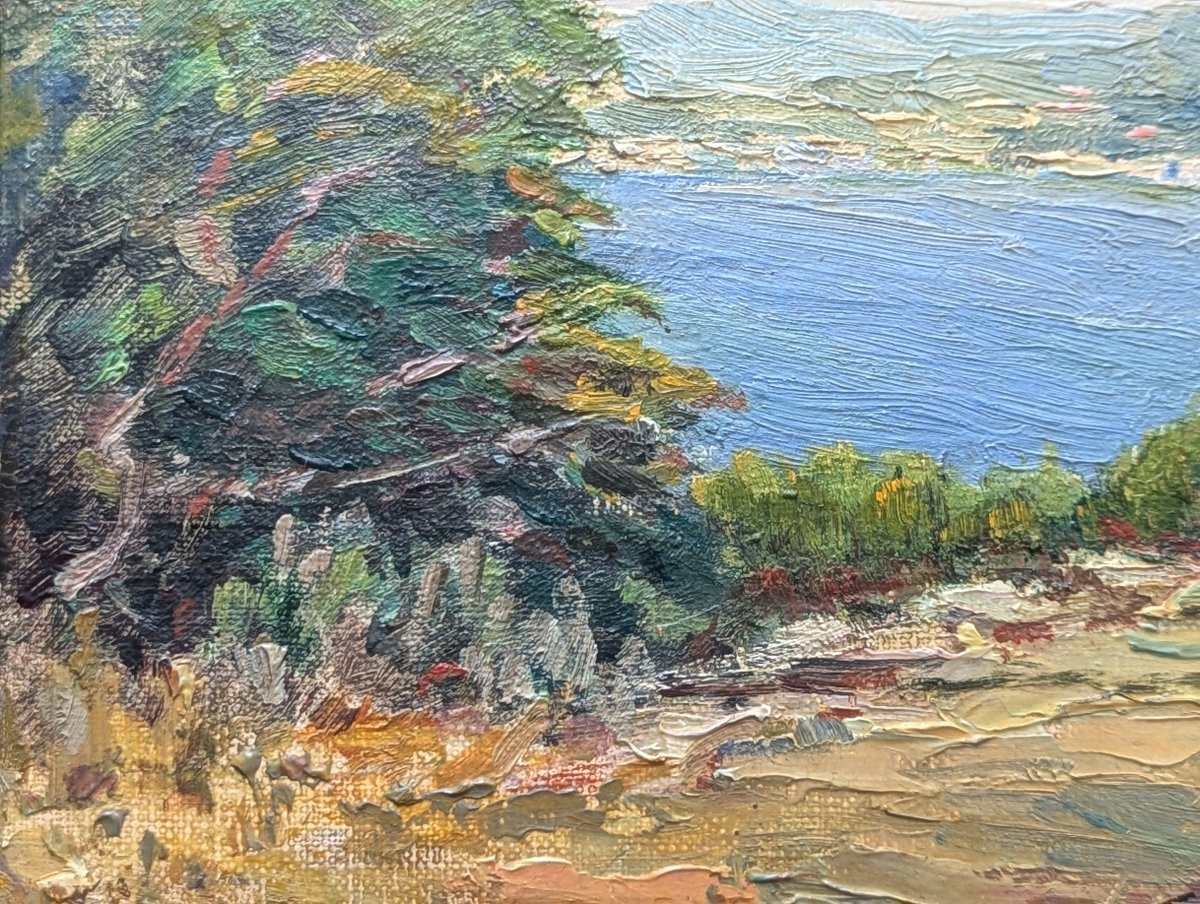 Huile sur carton signée paysage du sud -photo-5