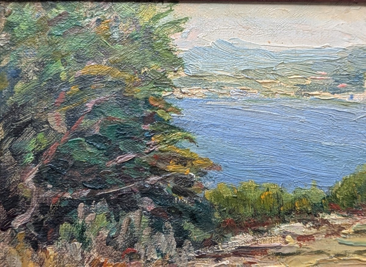 Huile sur carton signée paysage du sud -photo-6
