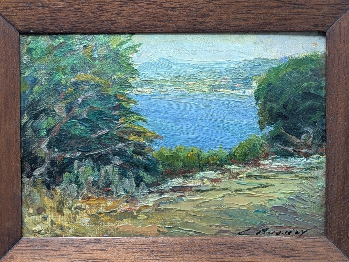Huile sur carton signée paysage du sud -photo-8