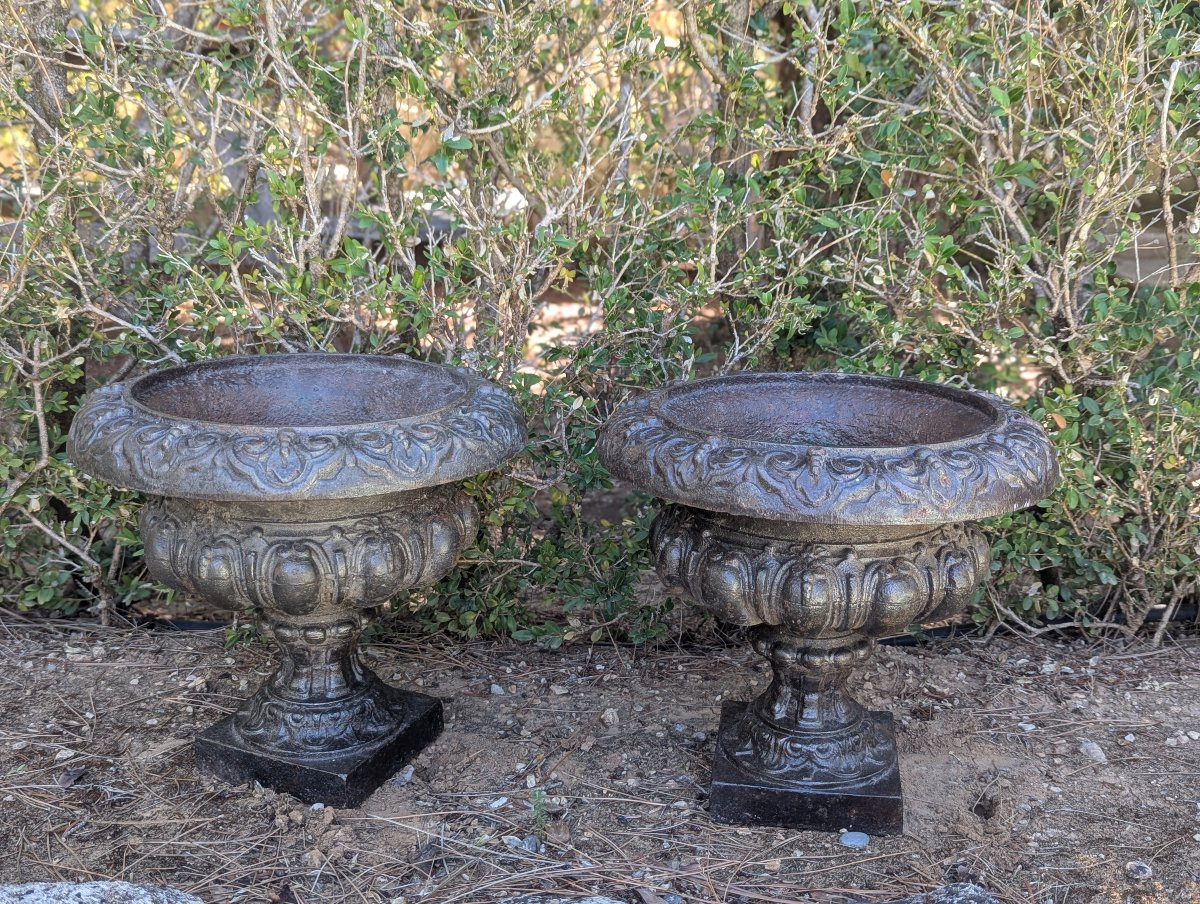 Deux vasques de jardin en fonte de fer-photo-5